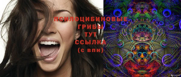ECSTASY Абаза