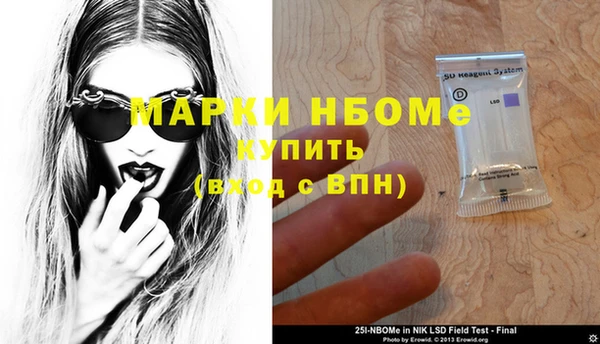 шишки Алзамай