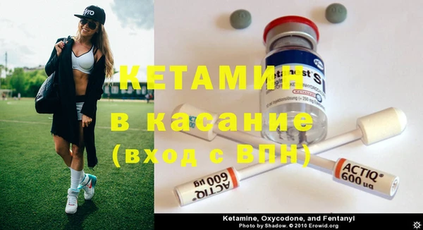 шишки Алзамай