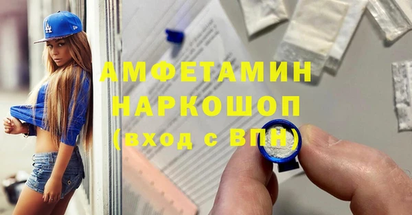 шишки Алзамай
