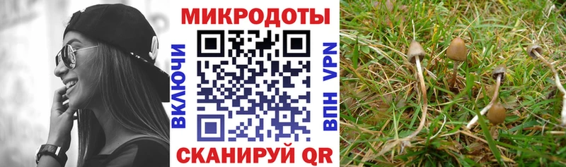 Галлюциногенные грибы прущие грибы Княгинино